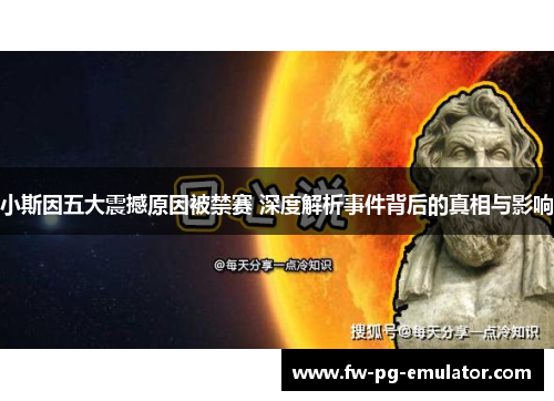 小斯因五大震撼原因被禁赛 深度解析事件背后的真相与影响