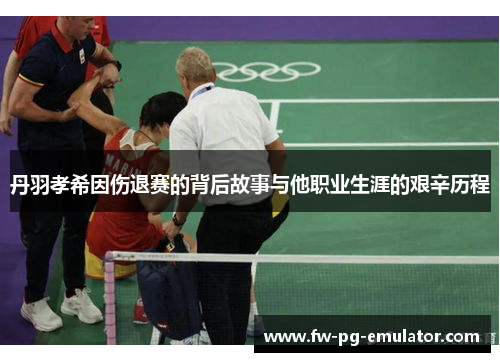 丹羽孝希因伤退赛的背后故事与他职业生涯的艰辛历程 丹羽孝希因伤退赛的背后故事与他职业生涯的艰辛历程