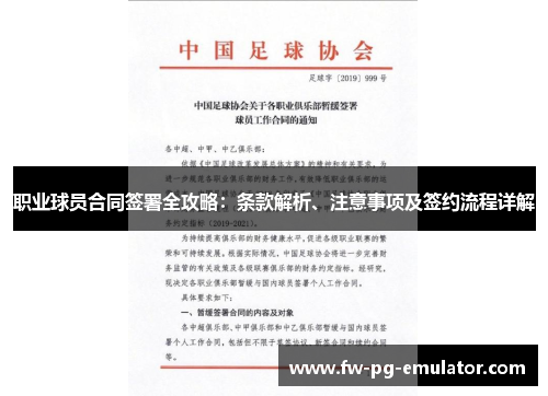 职业球员合同签署全攻略：条款解析、注意事项及签约流程详解